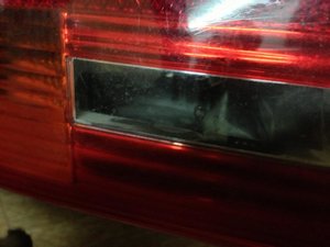 IMG_0221.jpg
