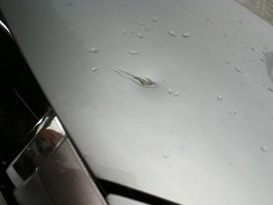 IMG_0197.jpg