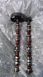 IMAG0224.jpg