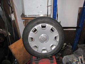 IMG_2987.jpg