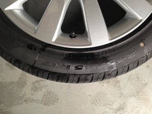 IMG_0334.jpg
