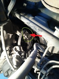 20130911_190519.jpg
