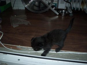 100_1538.jpg