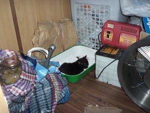 100_1539.jpg