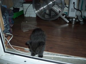100_1542.jpg