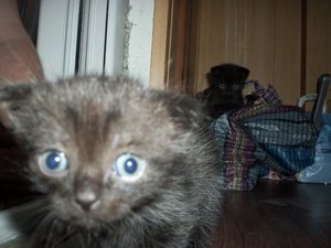 100_1547.jpg