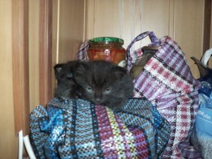 100_1550.jpg