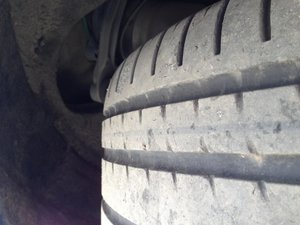 IMG_2491.jpg