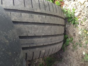 IMG_2493.jpg