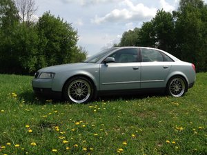 IMG_0186.jpg