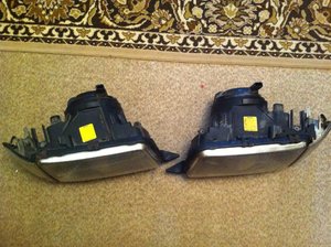 IMG_2555.jpg