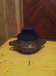 IMG_2559.jpg