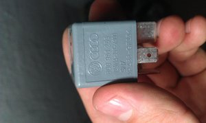 IMAG0491.jpg