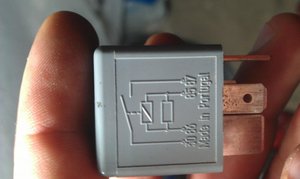 IMAG0494.jpg