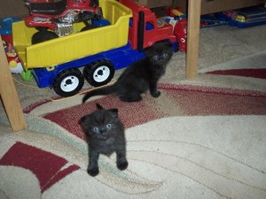 100_1554.jpg