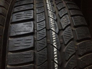 IMG_1006.jpg