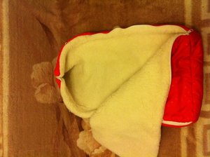 IMG_0031.jpg