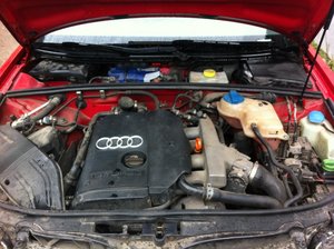 IMG_0996.jpg