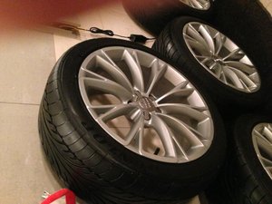 IMG_2630.jpg