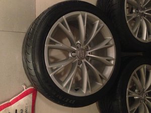 IMG_2634.jpg