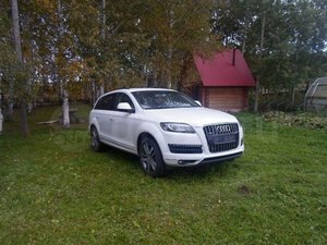 92034843.jpg