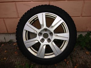 IMG_2345.jpg