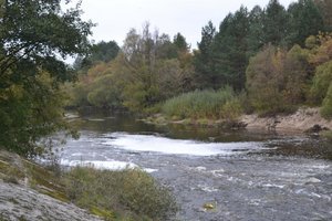 DSC_0154.jpg
