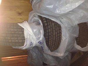 IMG_2308.jpg