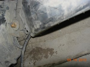 DSCN5763.jpg