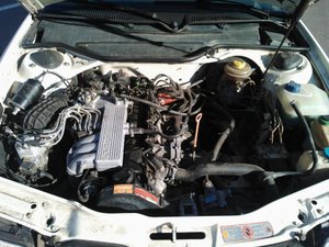 WP_000240.jpg