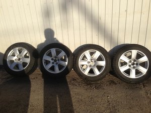 IMG_2350.jpg