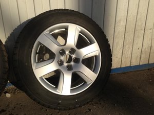 IMG_2357.jpg