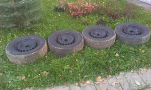 IMAG0044.jpg