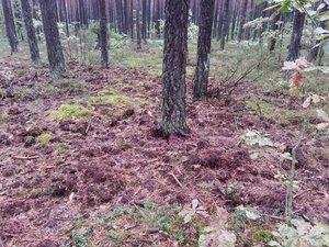 20130822_142825.jpg