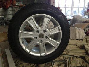 IMG_2531.jpg