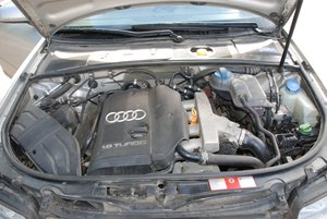 DSC_4519.JPG