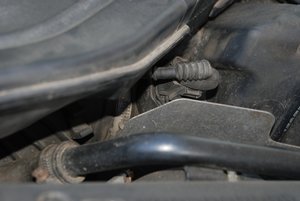 DSC_4513.JPG
