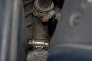 DSC_4515.JPG