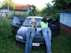 телки.jpg