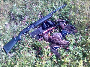 Картинка(27).jpg