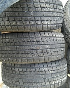 IMG3203.jpg