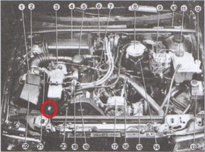 ФОТО Ауди.jpg