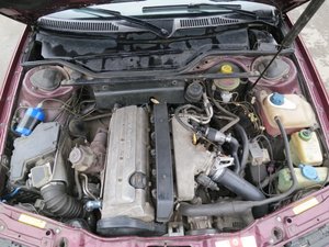 IMG_7708_resize.jpg