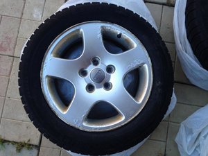 IMG_1073.jpg