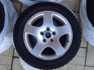 IMG_1076.jpg