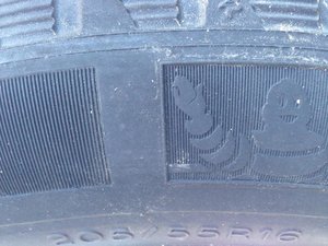 IMG_1077.jpg