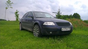 IMAG0268.jpg