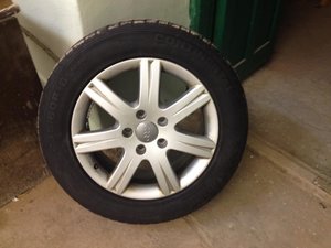 IMG_1283[1].jpg