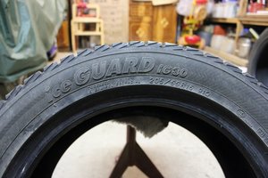 IMG_3708_1.jpg