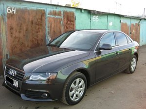 IMG_0337.jpg